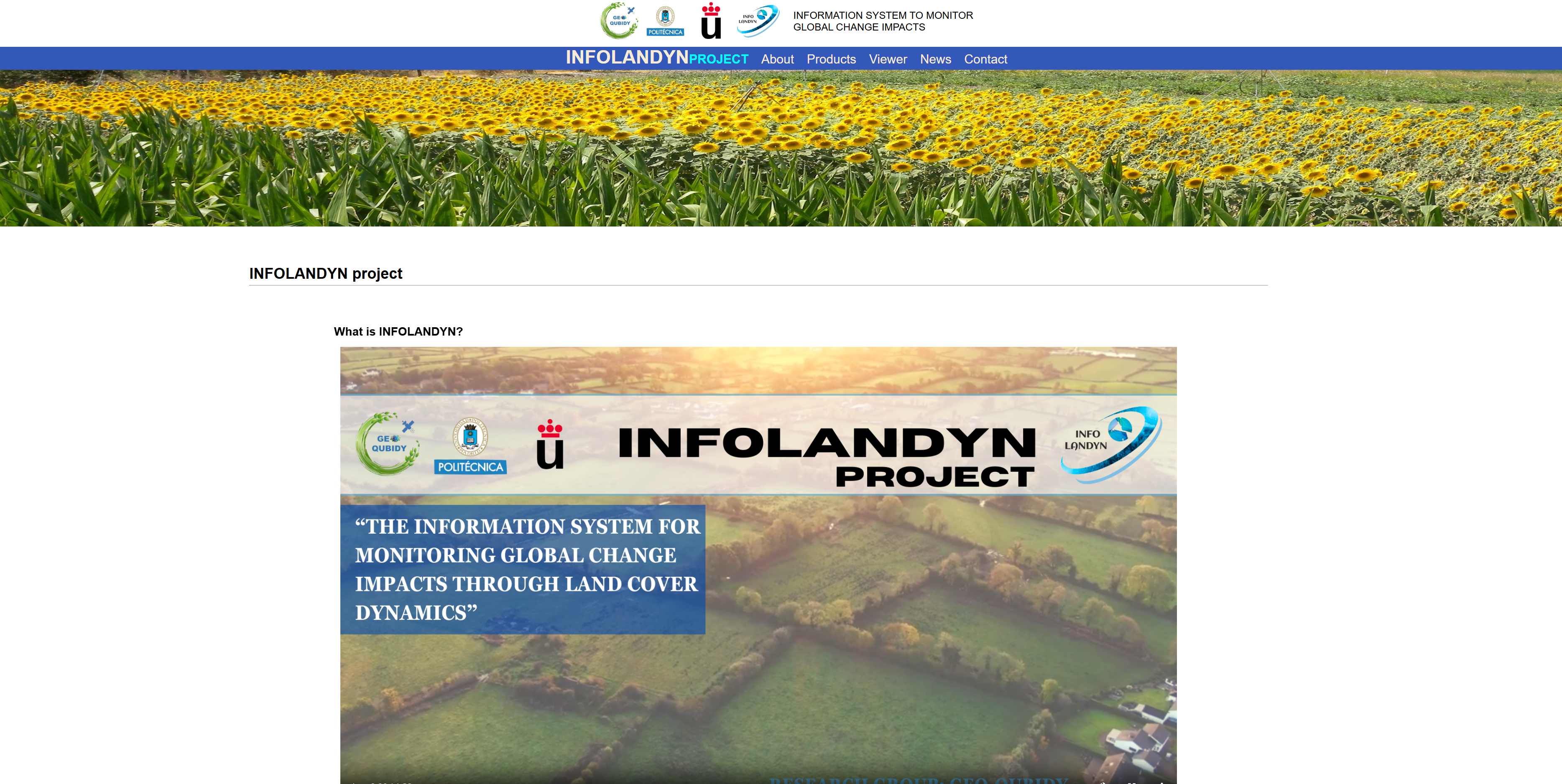 Infolandyn miniatura